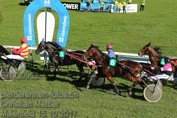 ET0Q0952 prot